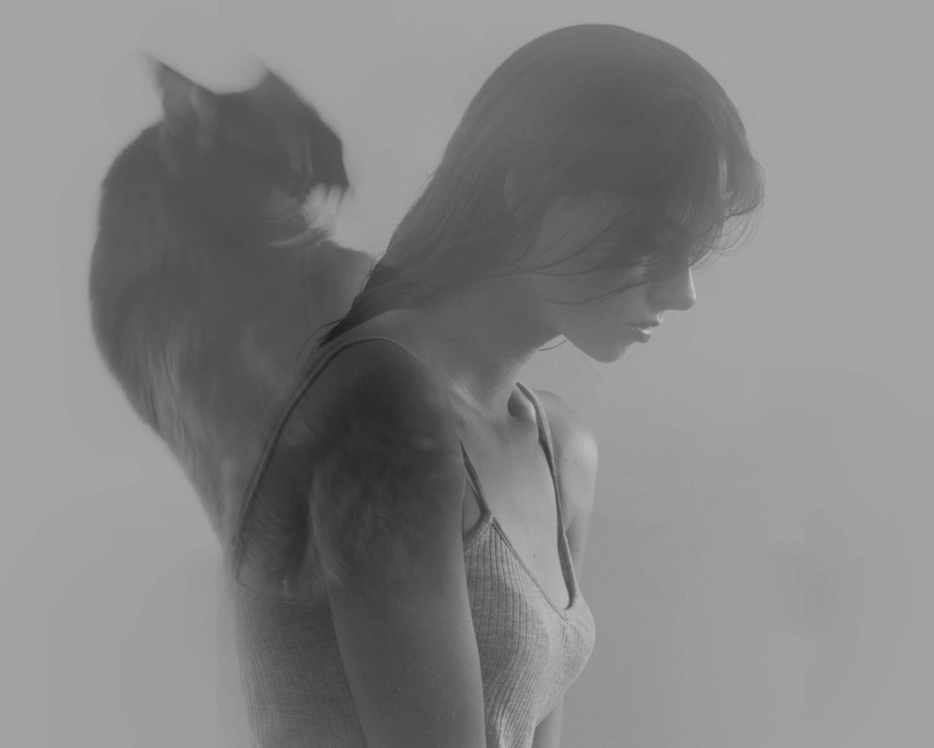 901172-newvis