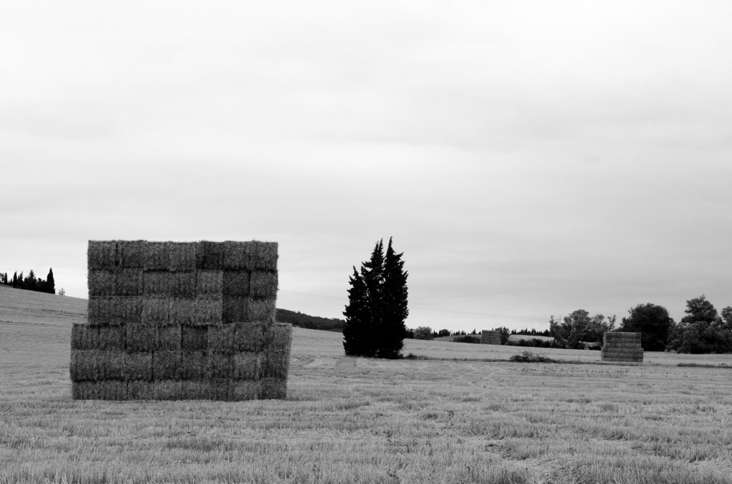 "Sans titre" par Jordi Castellano (Wipplay.com)